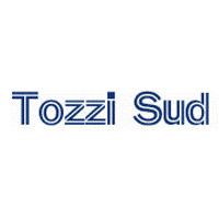 Tozzi Sud spa