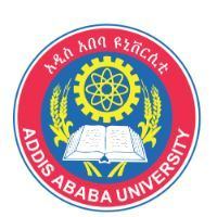 Addis Ababa University