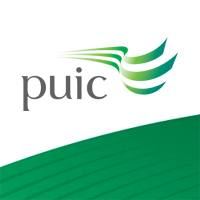 PUIC (Plymouth University International College)